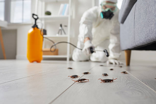 Commercial Kitchen Cockroach Control in Stanberry
